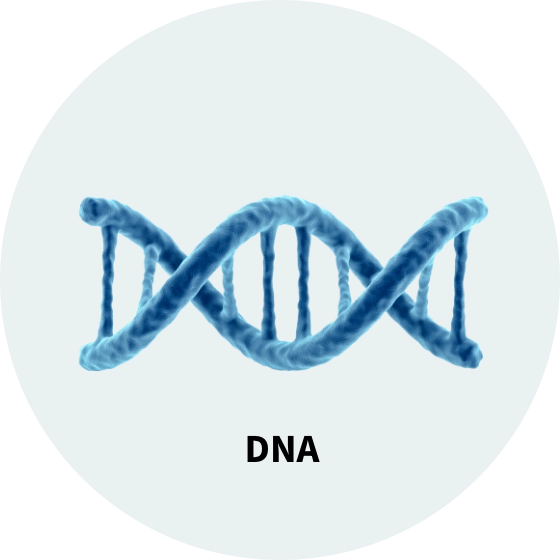 Illustration of DNA