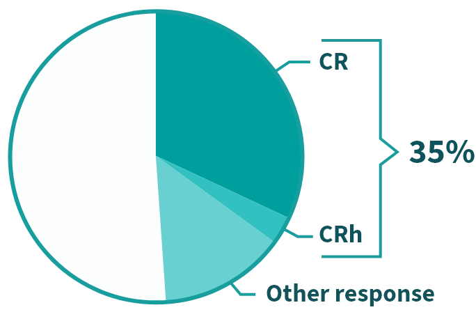 Pie chart showing 35% of people achieved CR/CRh