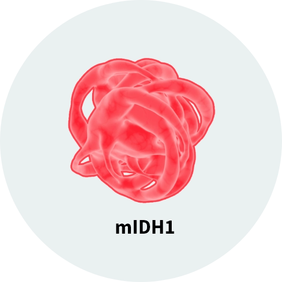 Illustration of mIDH1