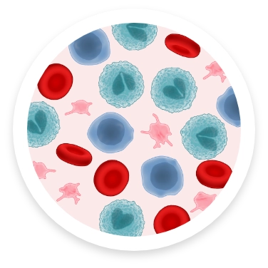 Illustration of normal blood count