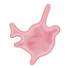 Illustration of platelet