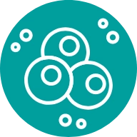 Stem Cell icon
