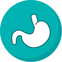 Stomach icon